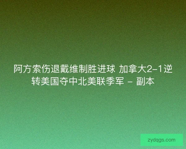 阿方索伤退戴维制胜进球 加拿大2-1逆转美国夺中北美联季军 - 副本