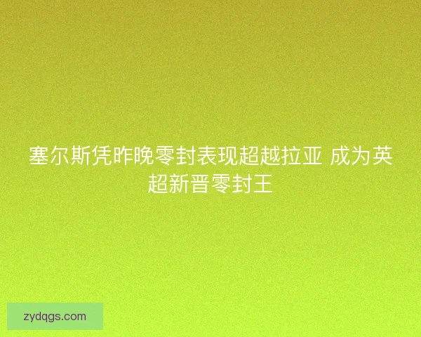 塞尔斯凭昨晚零封表现超越拉亚 成为英超新晋零封王 塞尔斯凭昨晚零封表现超越拉亚 成为英超新晋零封王